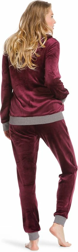 Pastunette - Modern Classic - Huispak - Donker Rood - Maat 42 3 Pastunette - Modern Classic - Huispak - Donker Rood - Maat 42 - Afbeelding 3