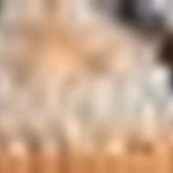 Hunkemöller Dames Nachtmode Joggingbroek Fleece - Wit - Maat XS -Pyjama-S-Dames Winkel 550x275 2