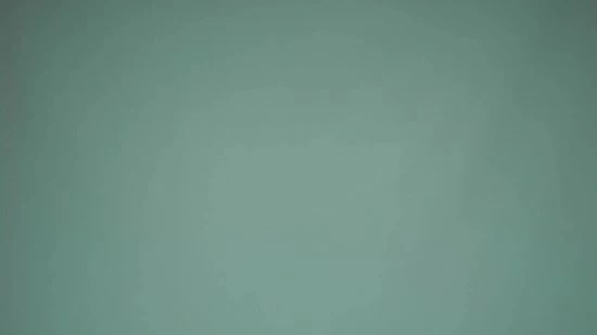 Happy Pyjamas Groene Dames Pyjama Van Happy Pyjama's - Comfortabele Groene Pyjama Met Een Moderne Pasvorm - Maat XL (S T/m XL) 2 Happy Pyjamas Groene Dames Pyjama Van Happy Pyjama's - Comfortabele Groene Pyjama Met Een Moderne Pasvorm - Maat XL (S T/m XL) - Afbeelding 2